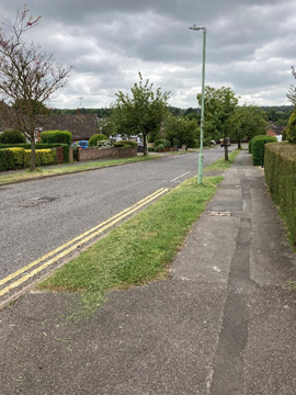 Photo of a typical urban highway verge Photo of a typical urban highway verge