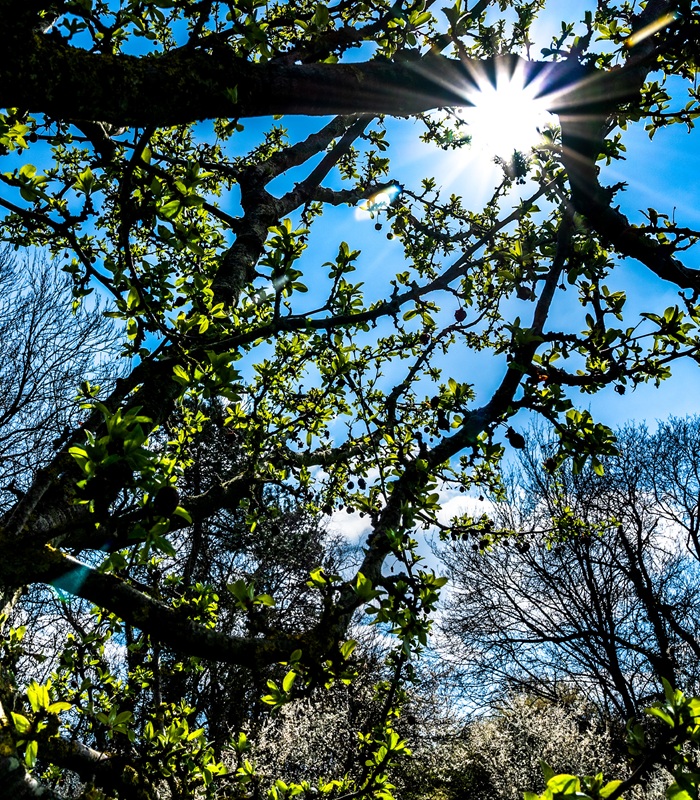 One of the images from East Town Park that features in the new exhibition by Geoff Price One of the images from East Town Park that features in the new exhibition by Geoff Price