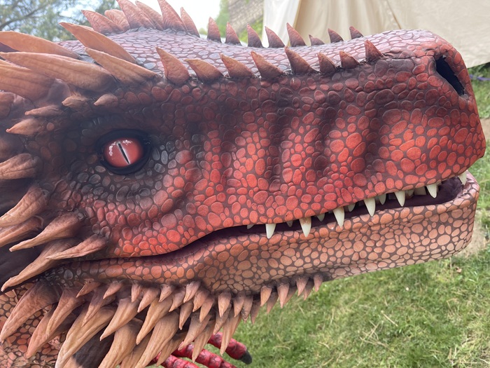 The dragon will be making his debut at the 10th DragonFest in June The dragon will be making his debut at the 10th DragonFest in June