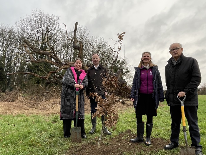 The King's Coronation Oak sapling at Ten Acre Field with Cllr Rowena Lindberg, Cllr Richard Rout, Cllr Birgitte Mager and Mike Hollins, treasurer of Woodlands Way The King's Coronation Oak sapling at Ten Acre Field with Cllr Rowena Lindberg, Cllr Richard Rout, Cllr Birgitte Mager and Mike Hollins, treasurer of Woodlands Way