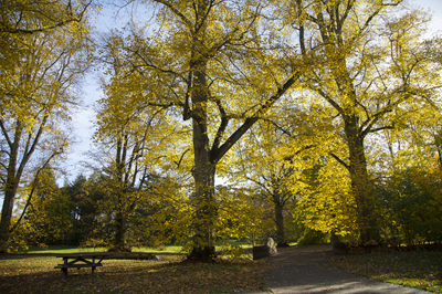 Nowton Park Nowton Park