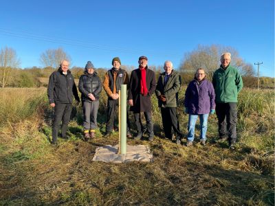 Bury St Edmunds water meadows grow greener with black poplar tree planting