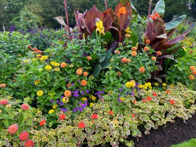 West Suffolk celebrates success in national Britain in Bloom awards