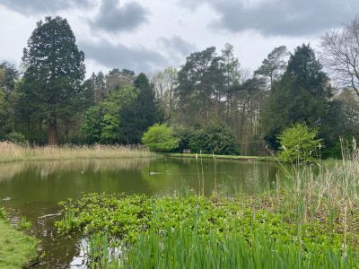 Positive environmental progress marks strong step towards carbon reduction