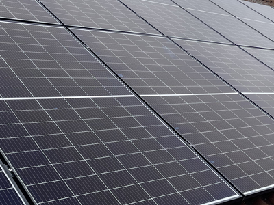 Solar partnership brings boost for businesses in Babergh and Mid Suffolk