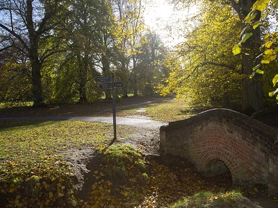 How do you make a park even better for the environment?